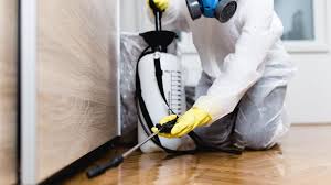 Best Real Estate Pest Inspections  in Sugarcreek, OH